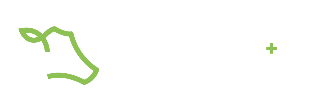 Cowmed